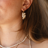 Luna Shell Earrings