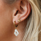 White Coral Earrings