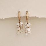 14K Gold Filled - Isabella Shell Earrings