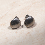 Shell Shape Studs
