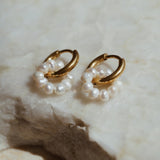 Shiny Pearl Earrings