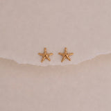 Starfish Studs