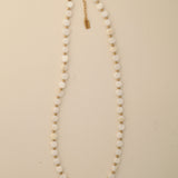 14krt Gold Filled - Isabella Shell Necklace