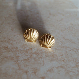 Big Golden Shell Studs