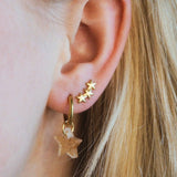 Sparkling Earrings. Stainless steel oorbellen. Hartjes oorbellen. Sterretjes oorbellen.