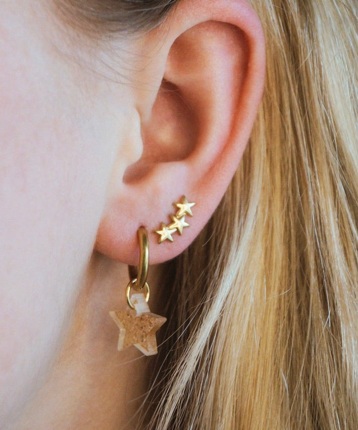 Sparkling Earrings. Stainless steel oorbellen. Hartjes oorbellen. Sterretjes oorbellen.