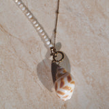 Conch Shell Necklace
