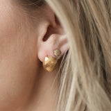 Shell Shape Studs
