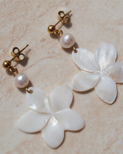 Flower Shell Earrings