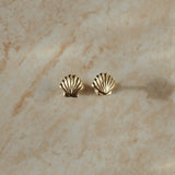 Shell Studs