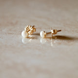 Sofia Studs