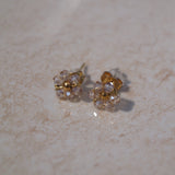Facet Flower Studs