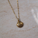 Pearly Shell Necklace