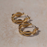 Golden Shell Hoops