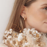 Golden Shell Hoops